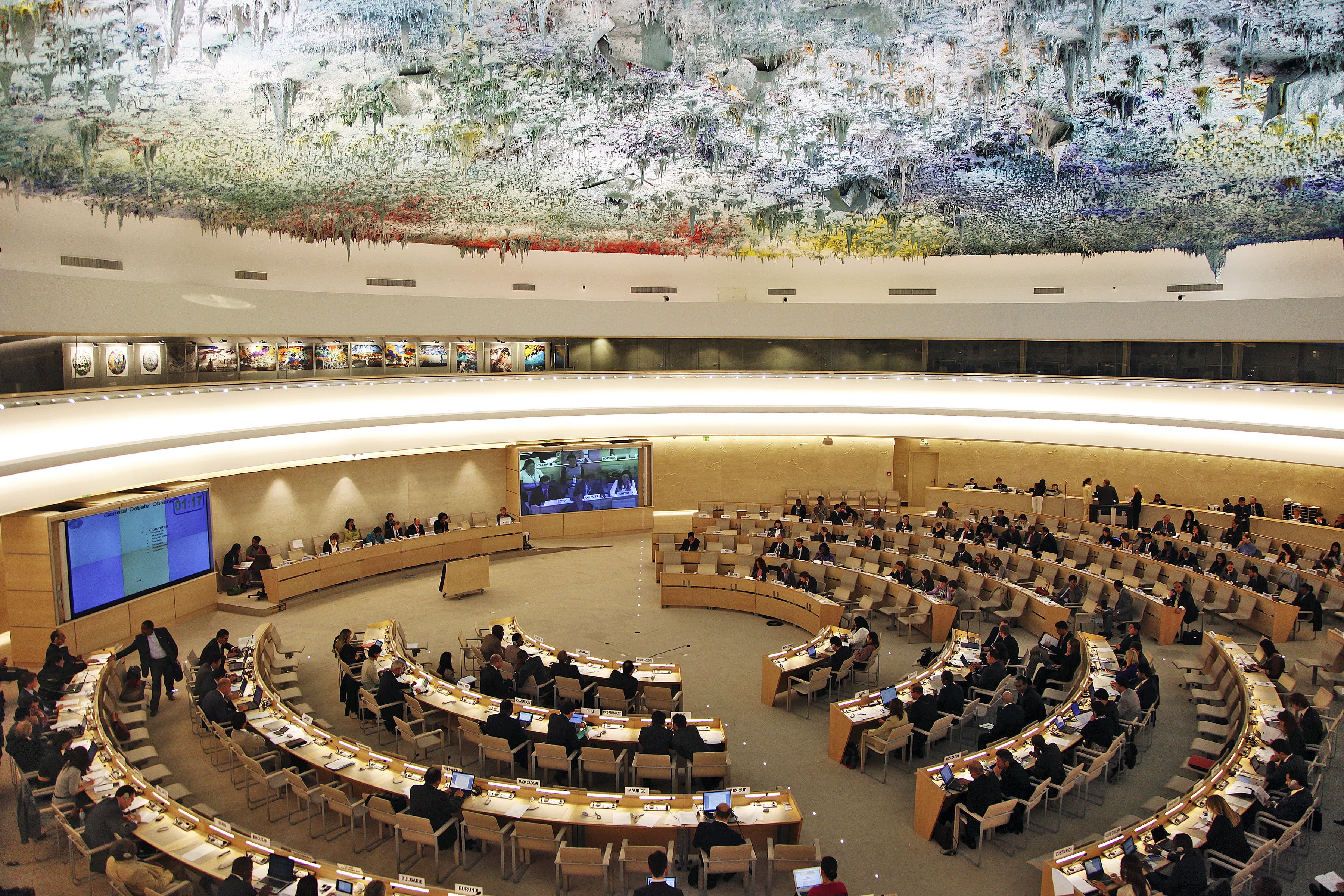 UN High-Level Panel On Access To Medicines Takes Next Step At Human Rights Council