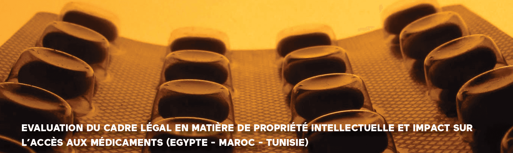 ITPC-MENA au Colloque Méditerranéen sur le VIH et les hépatites (AFRAMED 2017)