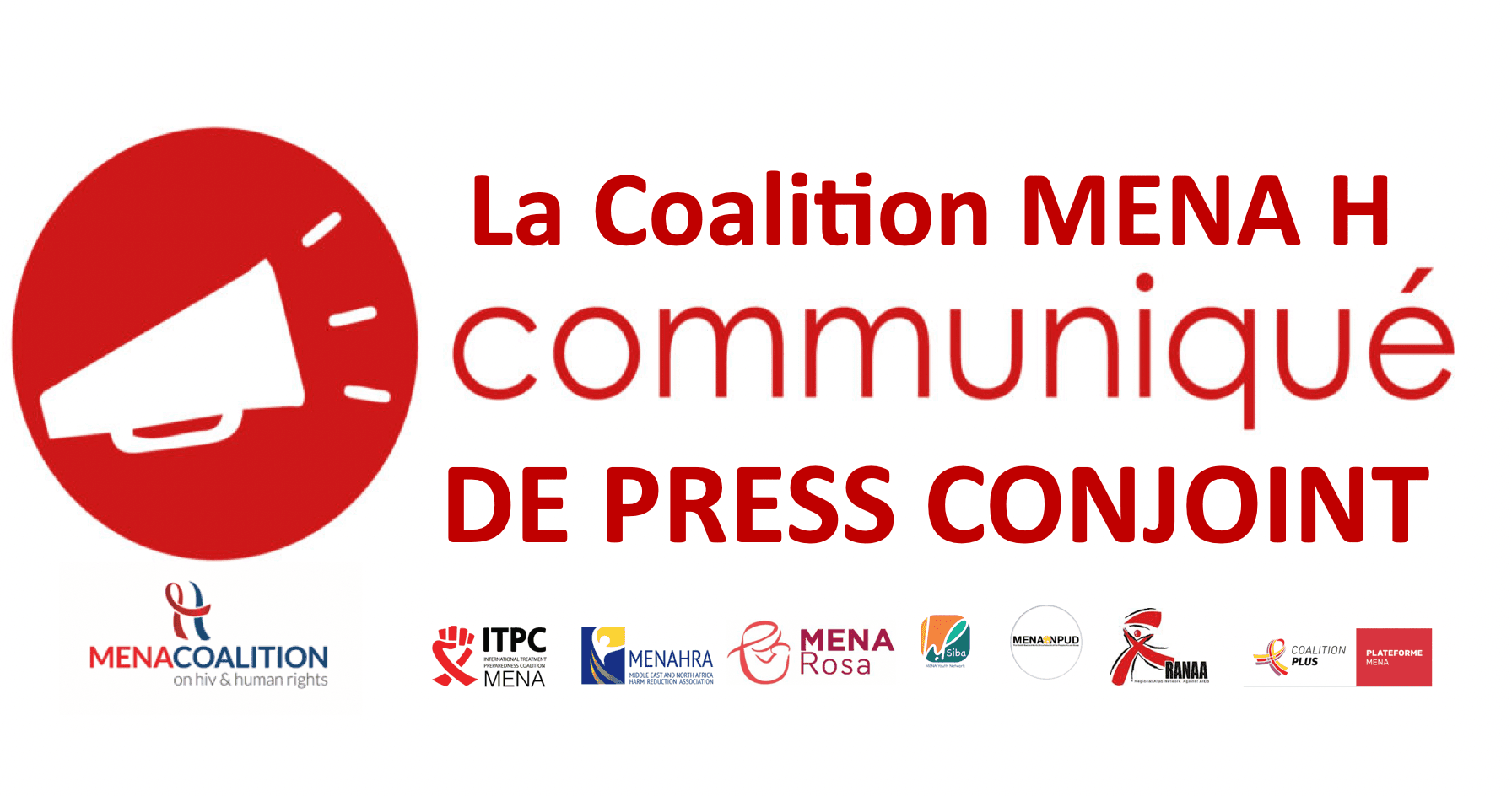 The MENA H Coalition calls for sustained investments in the fight against tuberculosis in the MENA region